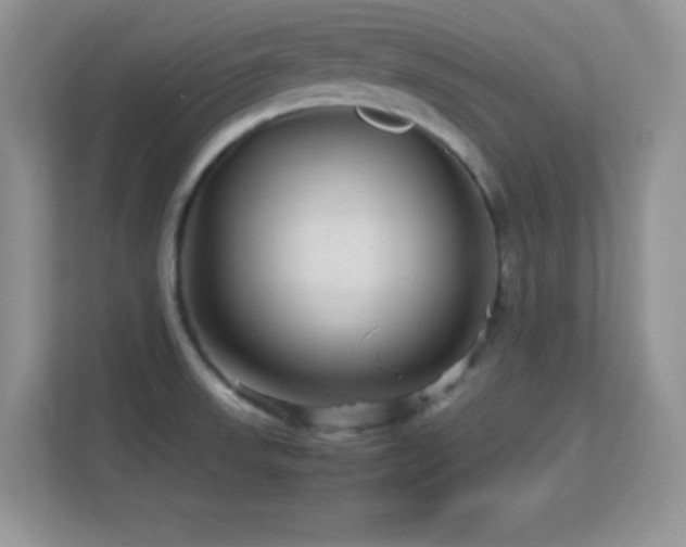 X0000113561523200909251048