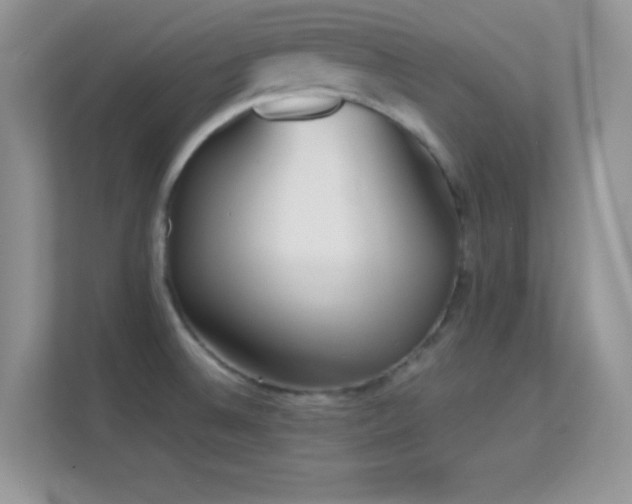 X0000113561524200909251048