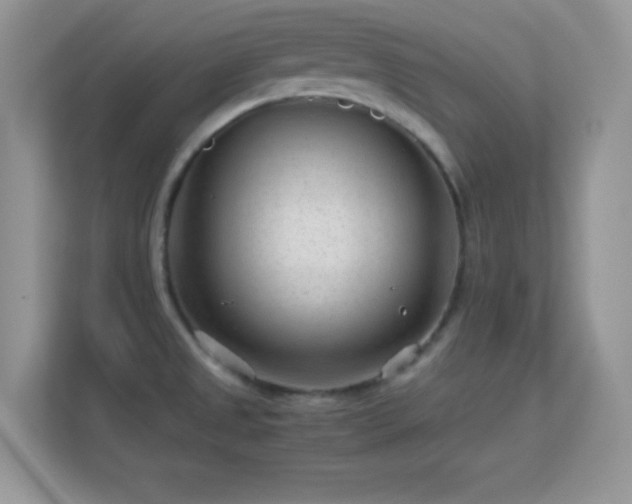 X0000113561525200909251048