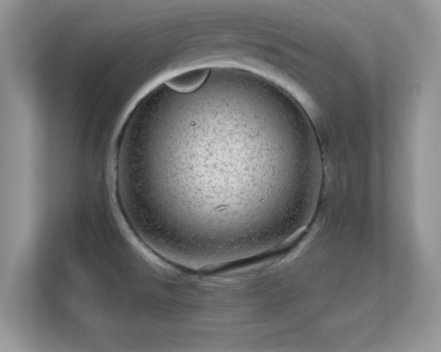 X0000113561526200909251048