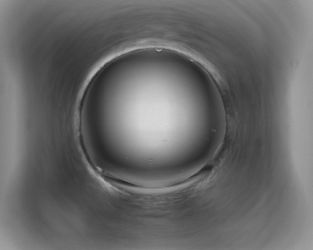 X0000113561527200909251048