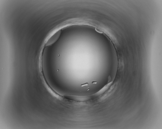X0000113561528200909251048