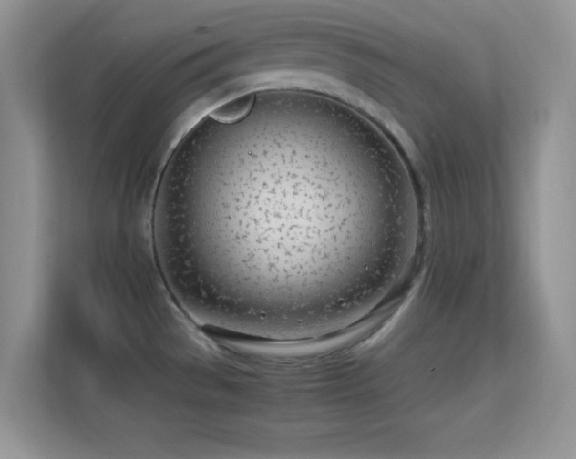 X0000113561529200909251048