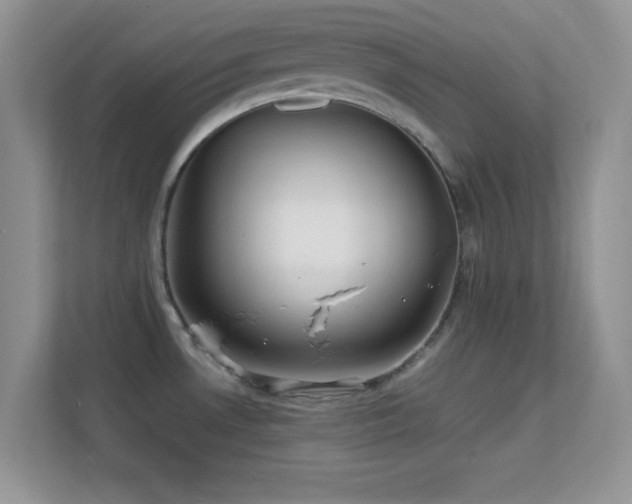 X0000113561530200909251048