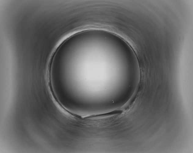 X0000113561531200909251048