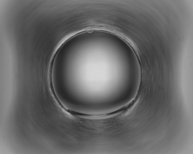 X0000113561533200909251048