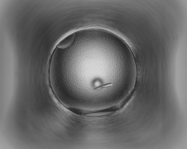 X0000113561534200909251048