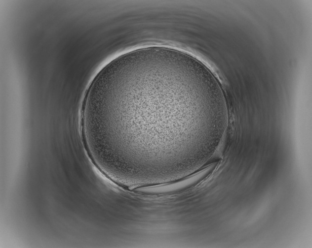 X0000113561535200909251048