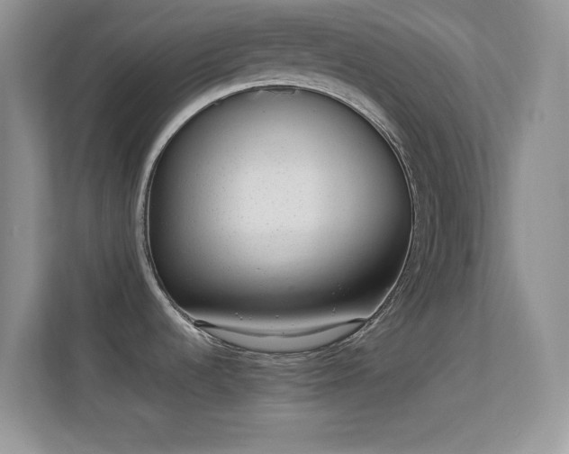 X0000113561536200909251048