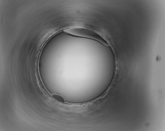 X0000113560001200910021606