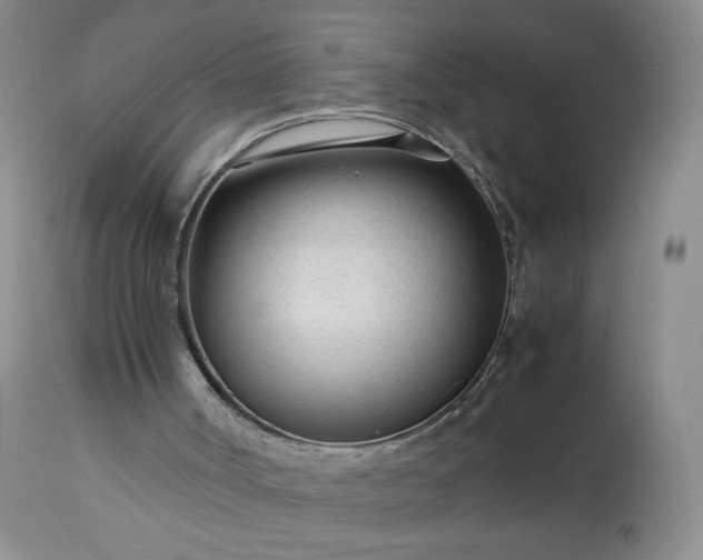 X0000113560002200910021606