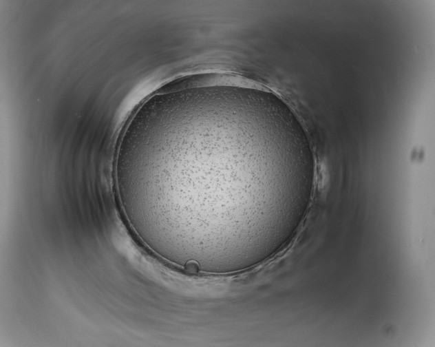 X0000113560004200910021606