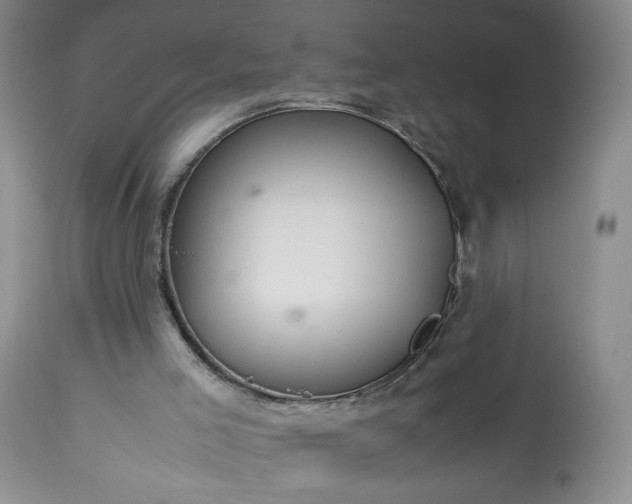 X0000113560005200910021606