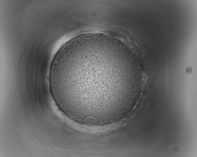 X0000113560006200910021606