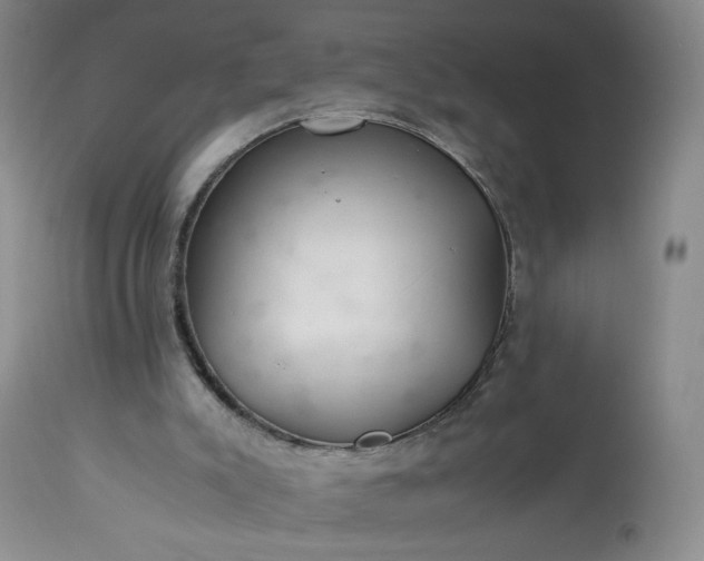 X0000113560007200910021606