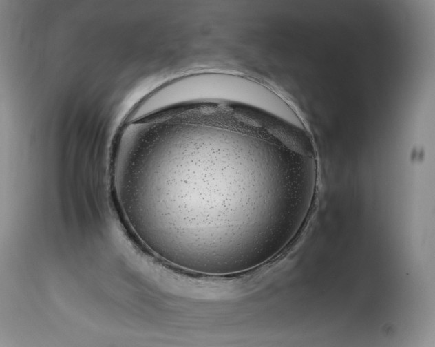 X0000113560008200910021606