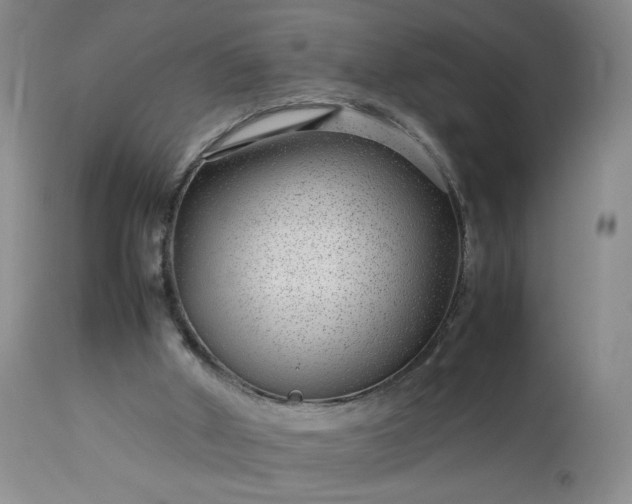 X0000113560010200910021606