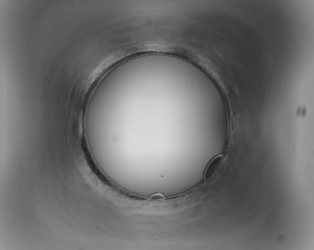 X0000113560011200910021605