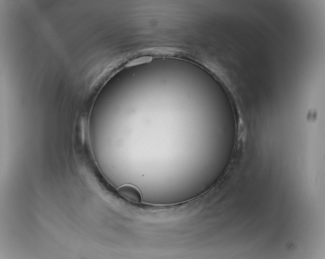 X0000113560013200910021605