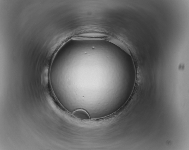 X0000113560014200910021605