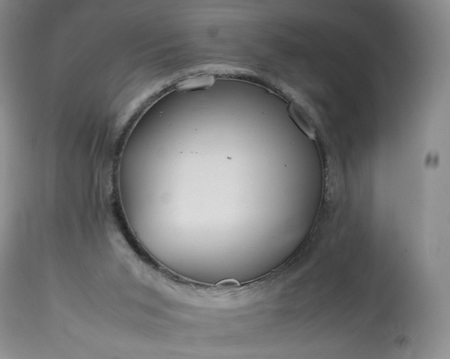 X0000113560015200910021605