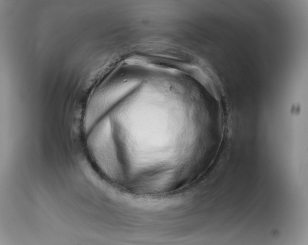 X0000113560018200910021605