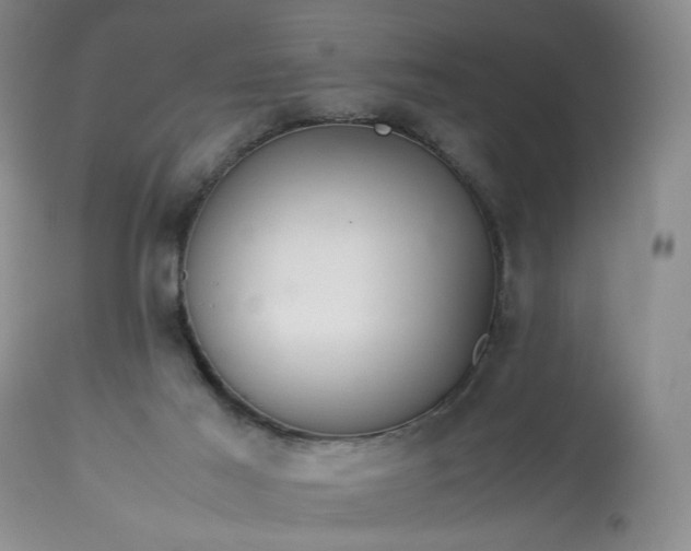 X0000113560021200910021605