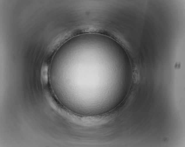X0000113560022200910021605