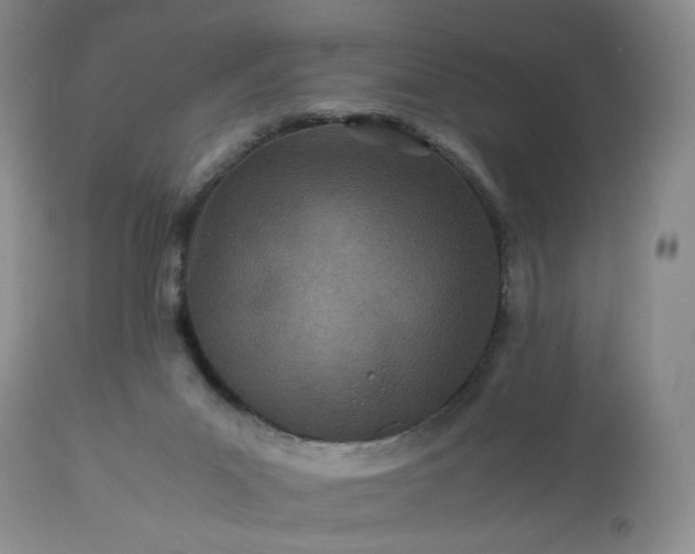 X0000113560023200910021605