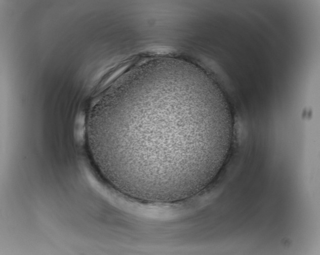 X0000113560024200910021605
