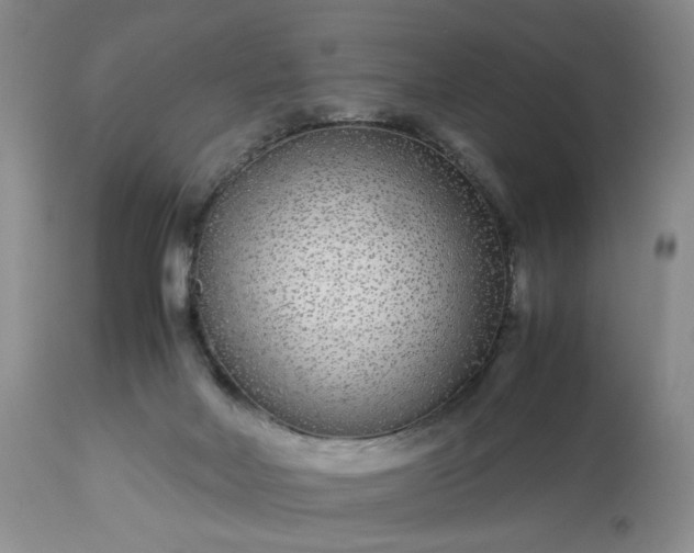 X0000113560026200910021605