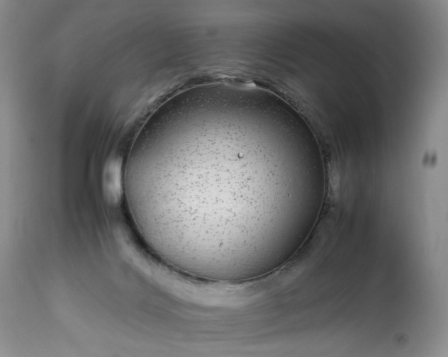X0000113560028200910021605