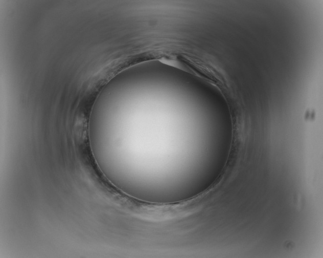X0000113560029200910021605