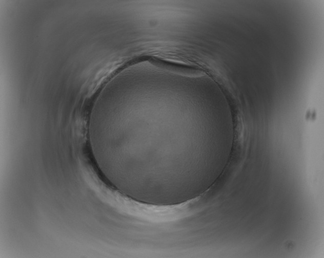 X0000113560031200910021605