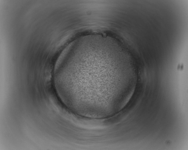 X0000113560032200910021605