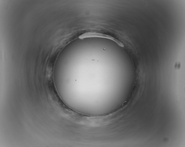 X0000113560033200910021605