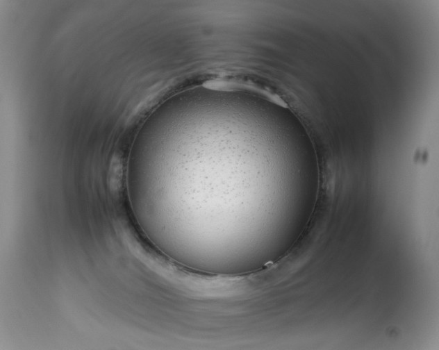 X0000113560036200910021605