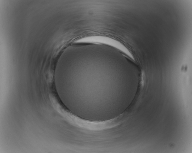 X0000113560039200910021605