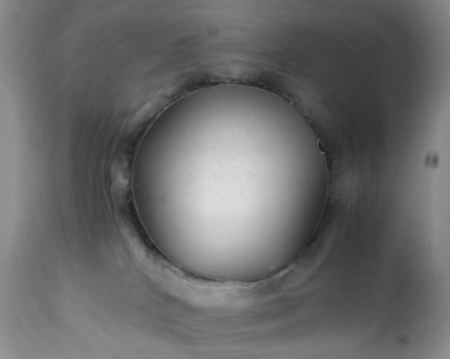 X0000113560040200910021605