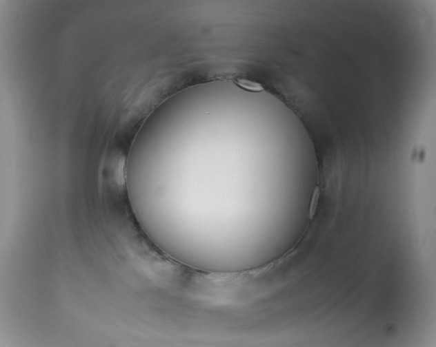 X0000113560041200910021605