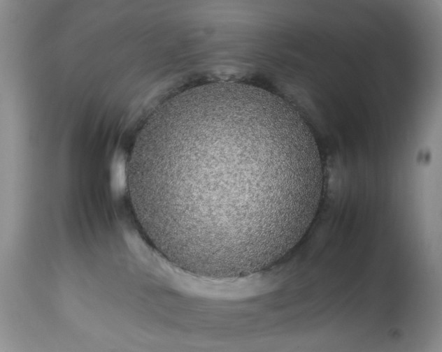 X0000113560042200910021605