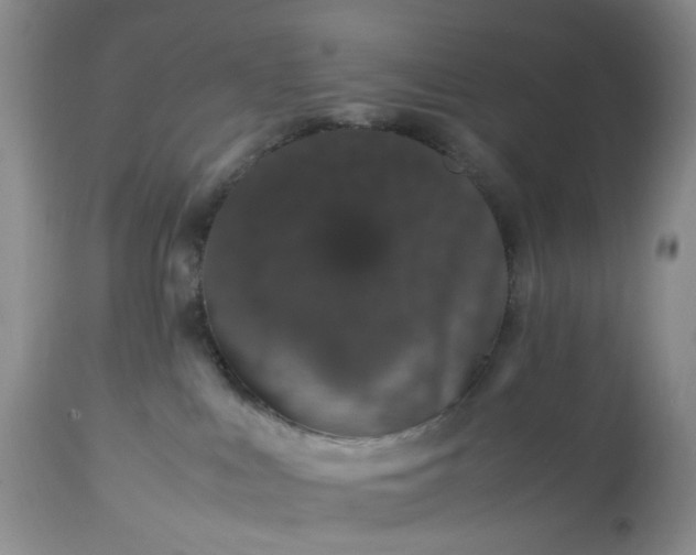 X0000113560043200910021605