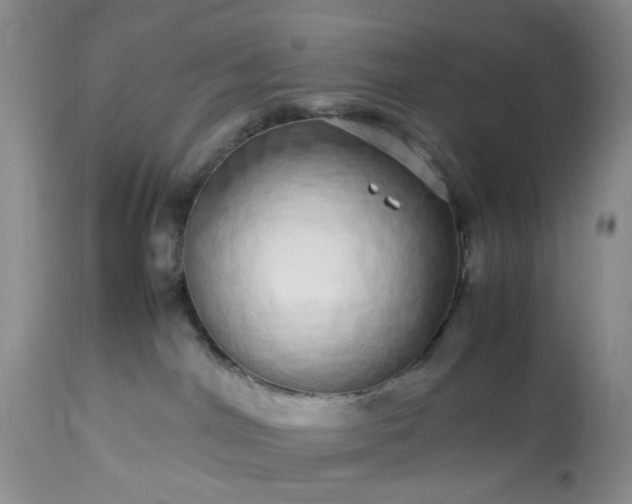 X0000113560044200910021605