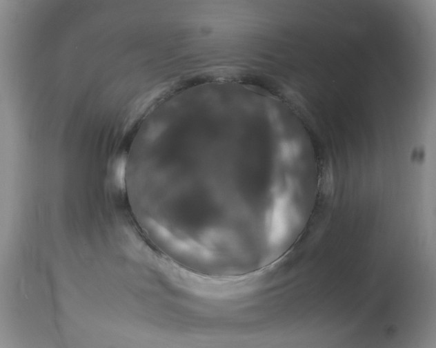 X0000113560047200910021605