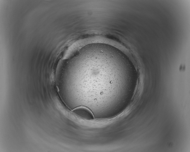 X0000113560048200910021605