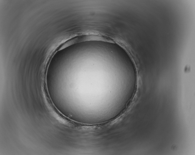 X0000113560049200910021604
