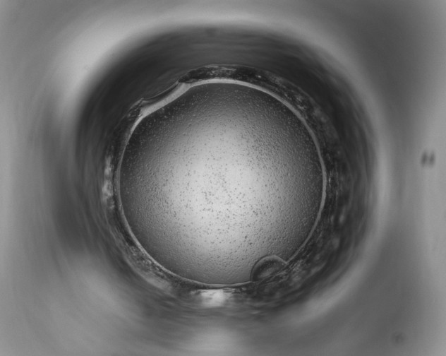 X0000113560050200910021604
