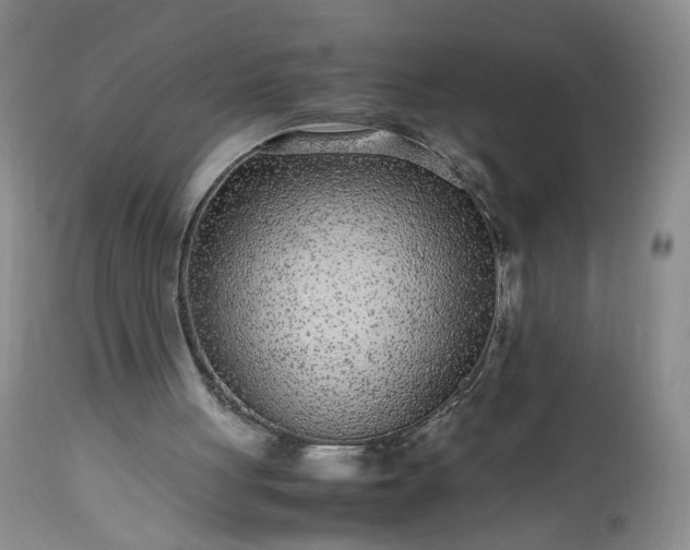 X0000113560051200910021604