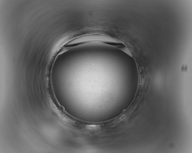 X0000113560053200910021604