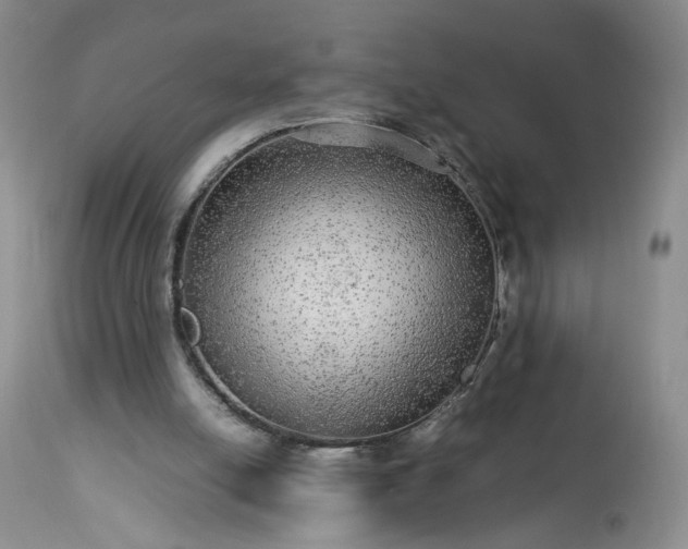 X0000113560054200910021604